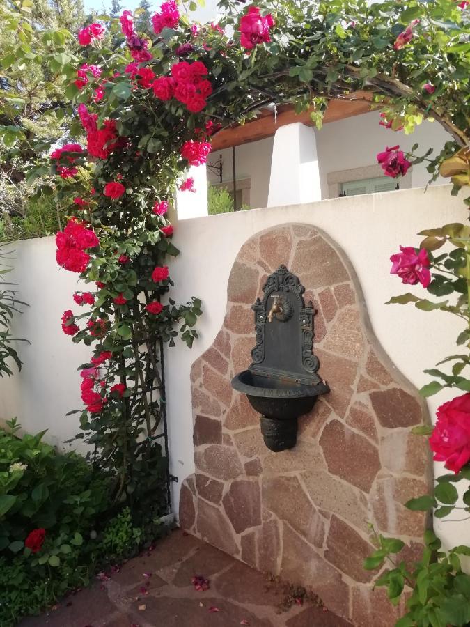 Casa Vacanze Villa Rosa Кала-Гононе Экстерьер фото